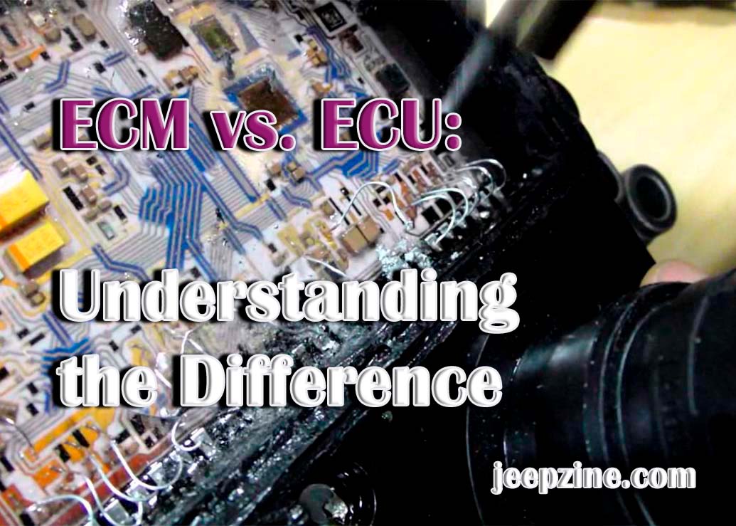 what-is-the-difference-between-ecm-and-ecu